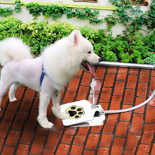 GBruno Pet Dog Fountain - Image 3