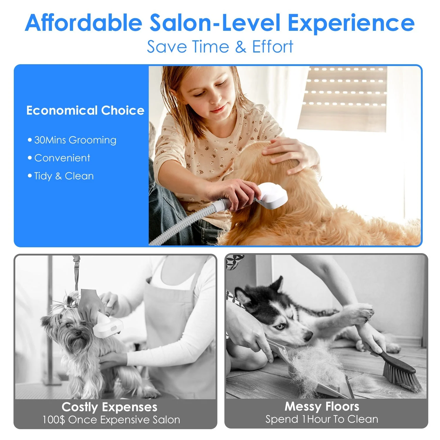 GBruno Professional Pet Hair Grooming - Image 5
