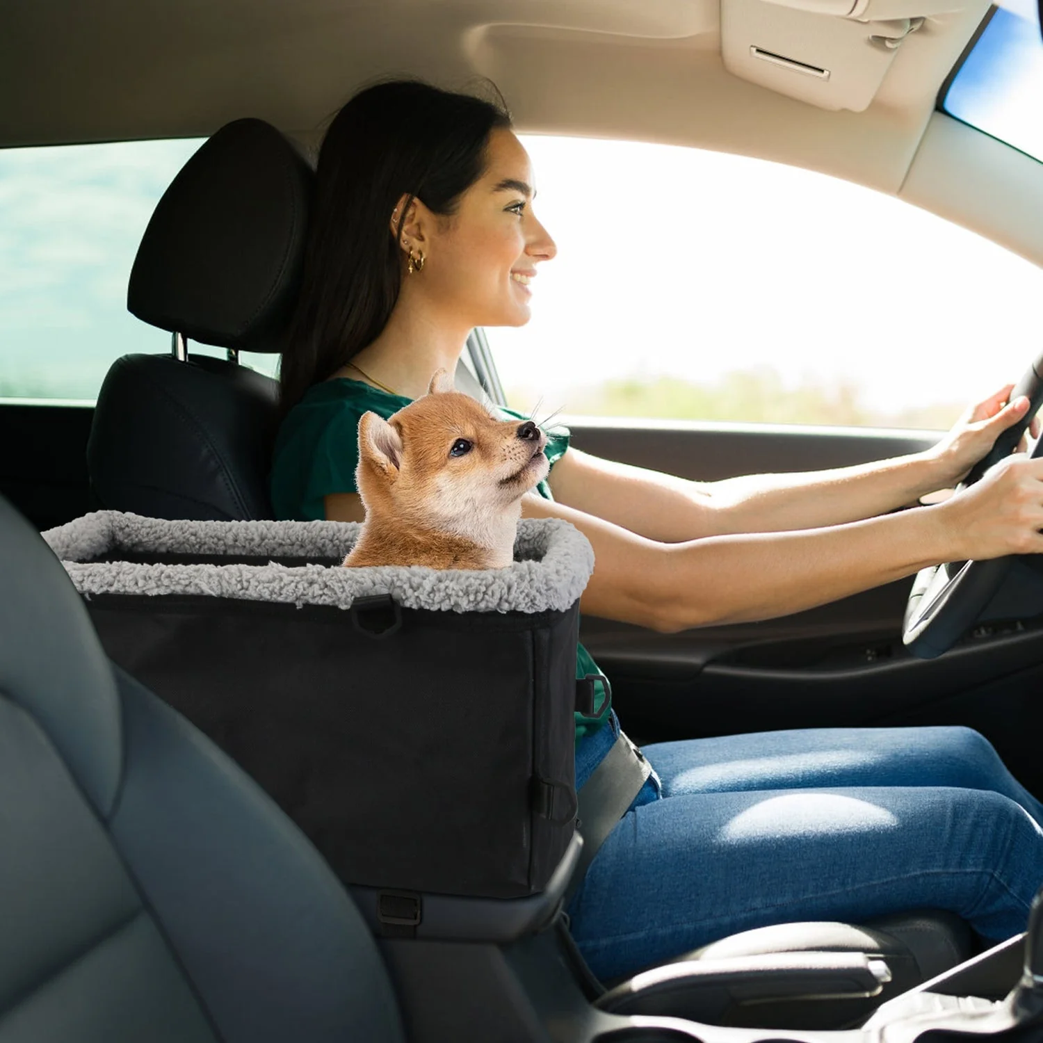 GBruno Small Dog Car Seat - Image 9