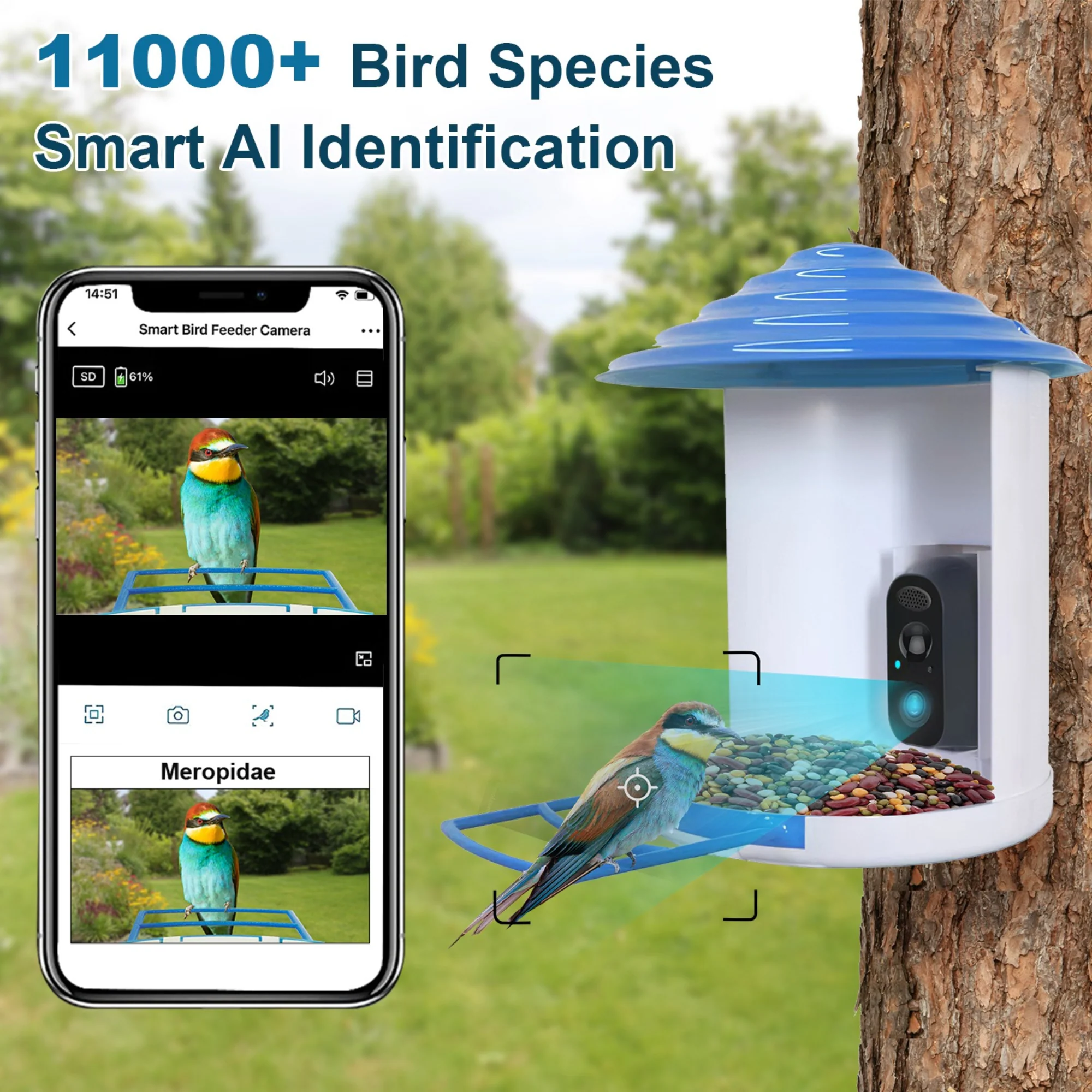 GBruno Smart Bird Feeder - Image 4