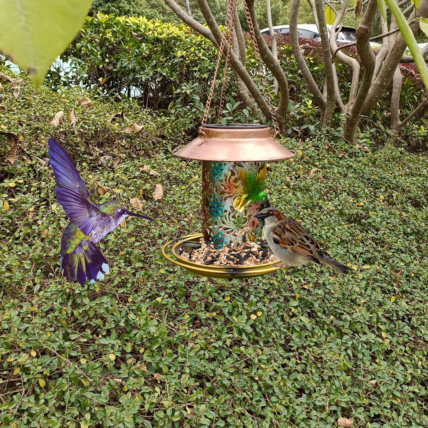 GBruno Solar Bird Feeder - Image 2