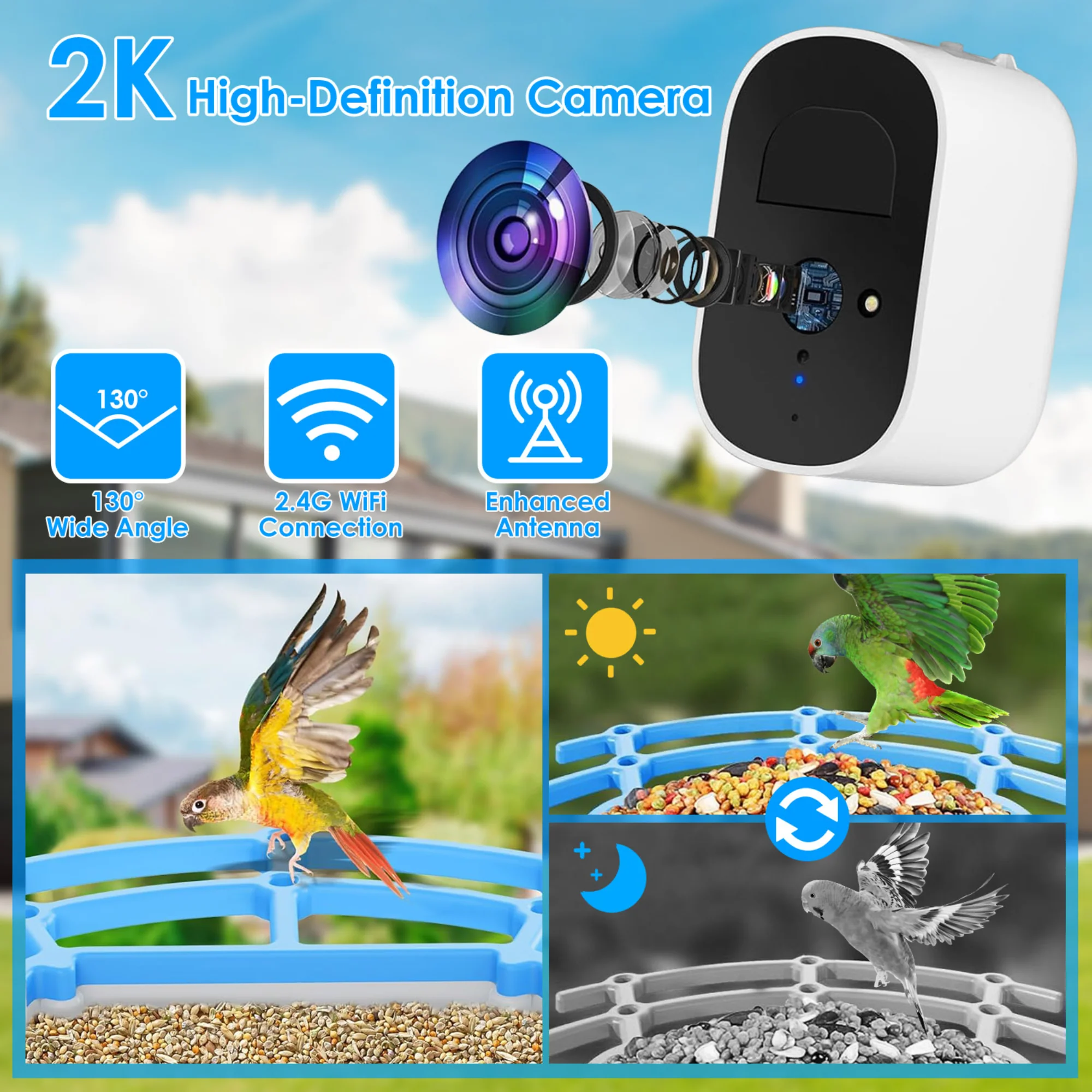 GBruno Solar Powered Smart Bird Feeder - Image 6