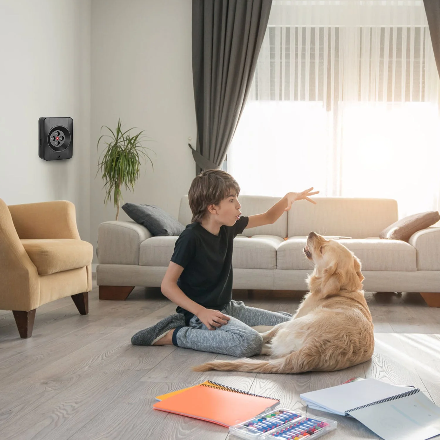 GBruno Ultrasonic Anti-barking Device - Image 5
