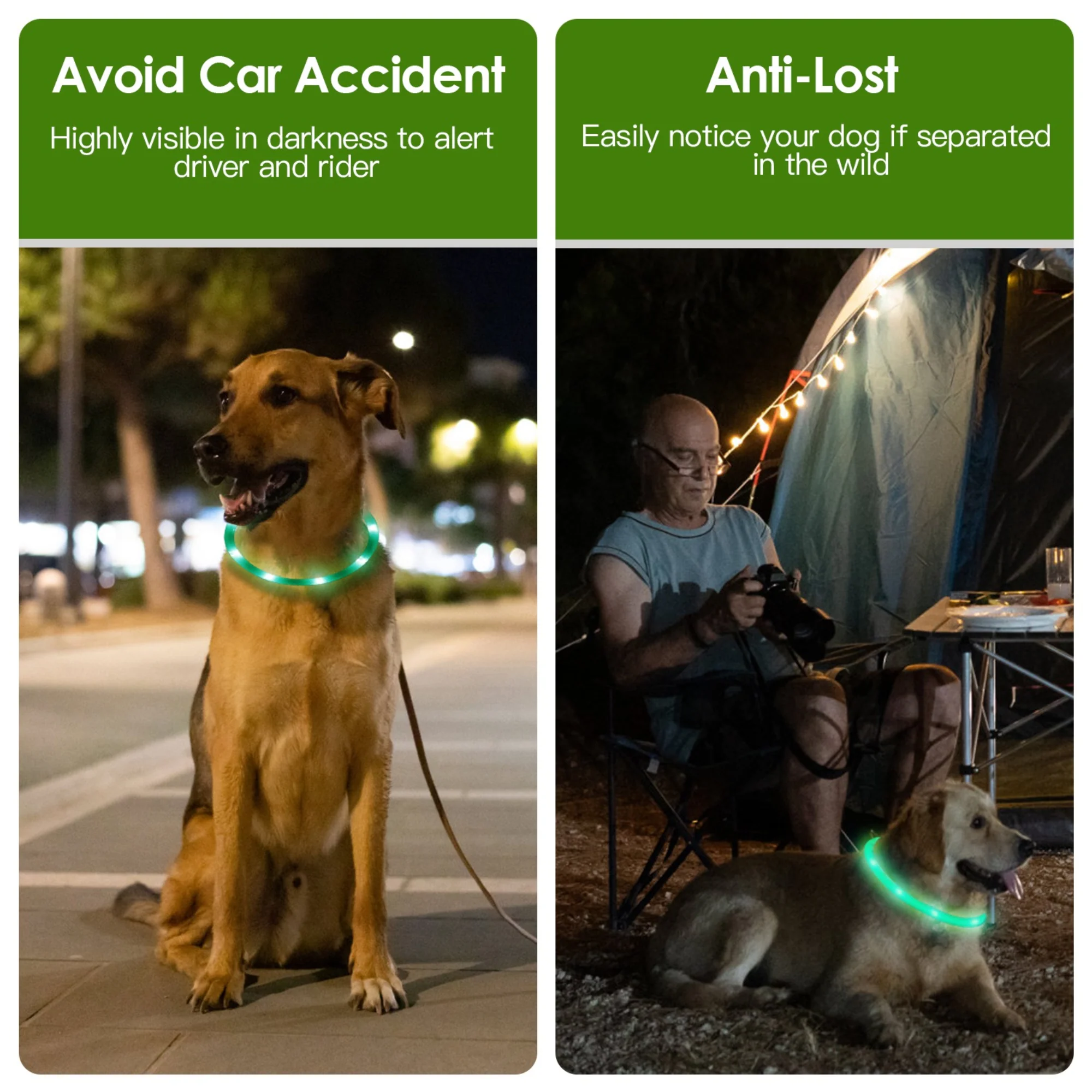 GBruno USB Rechargeable LED Dog Collar - Image 4