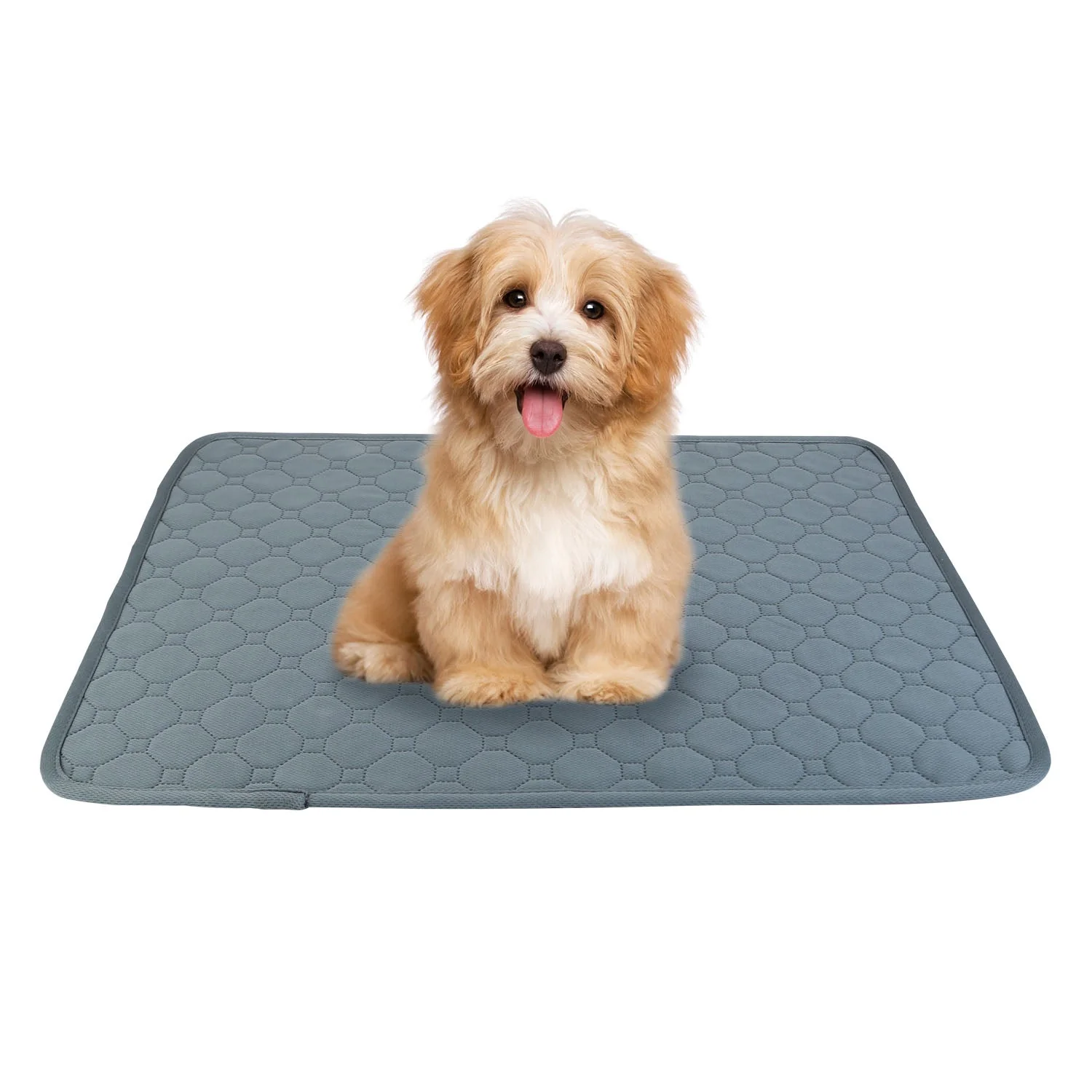 GBruno Washable Dog Pee Pad - Image 4