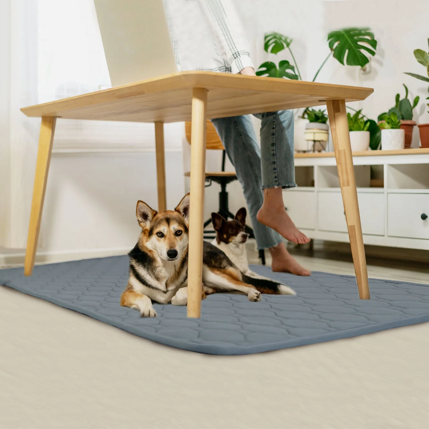GBruno Washable Dog Pee Pad - Image 2