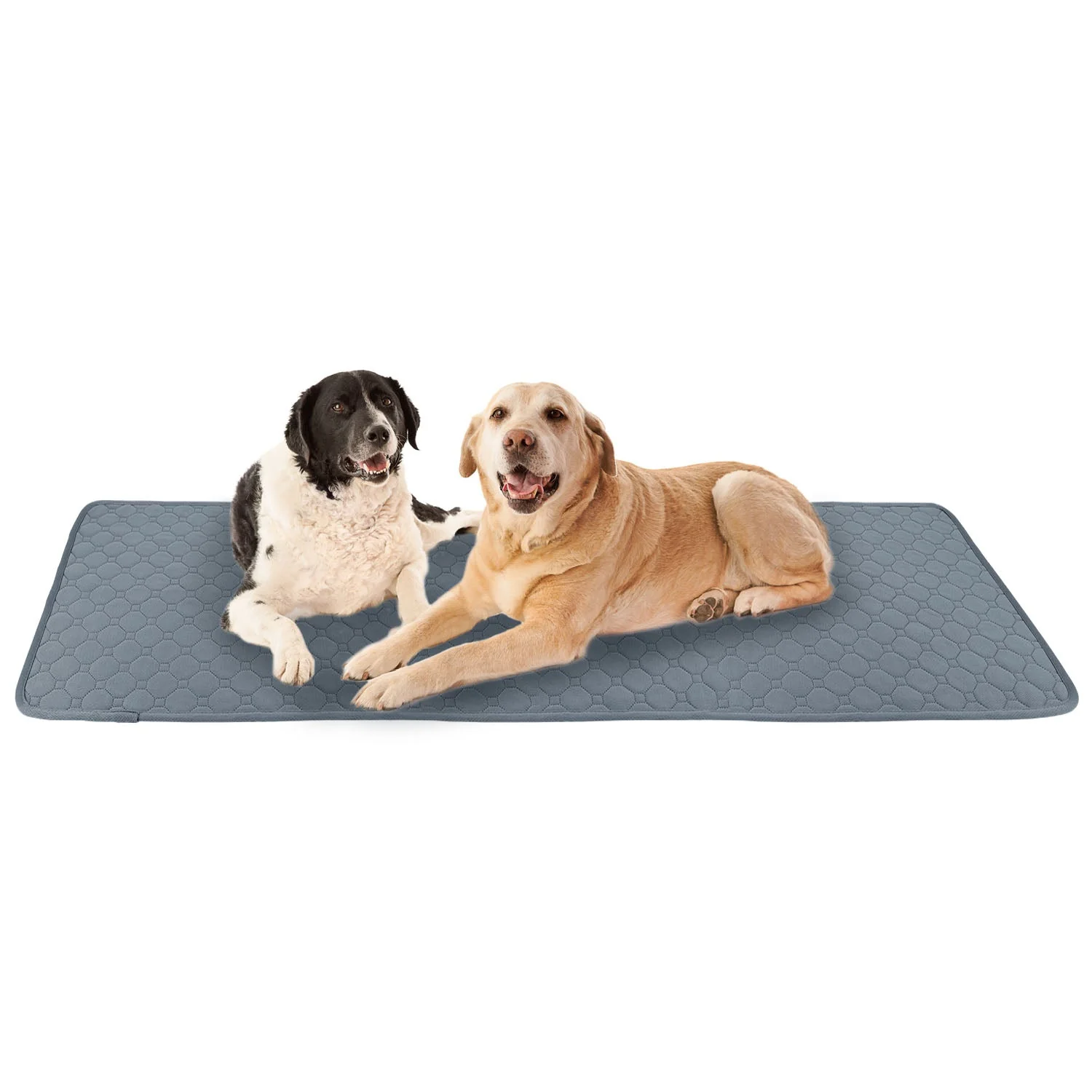 GBruno Washable Dog Pee Pad - Image 4