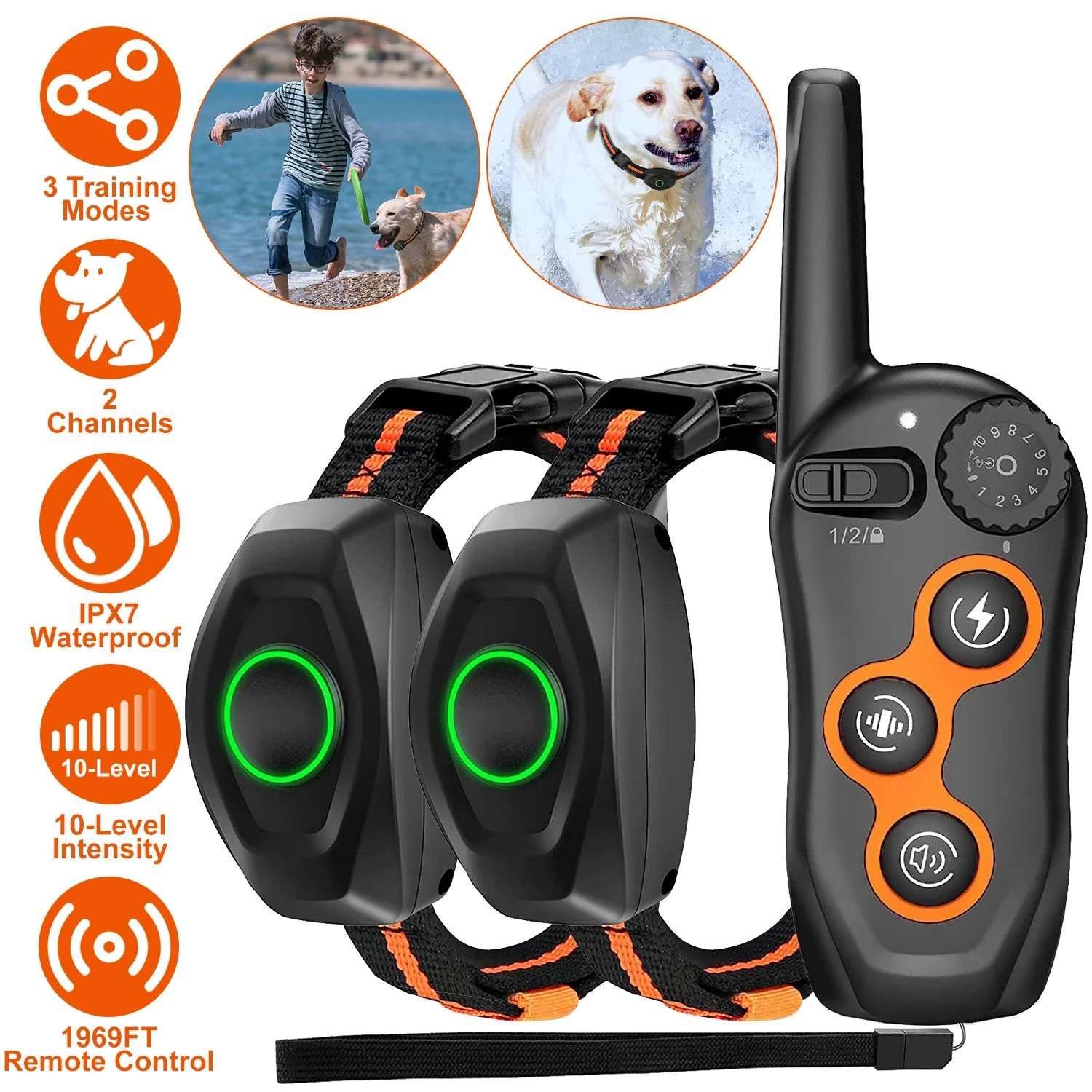 GBruno Waterproof Dog Training Collar - Image 3
