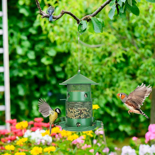 GBruno Wild Bird Feeder - Image 6