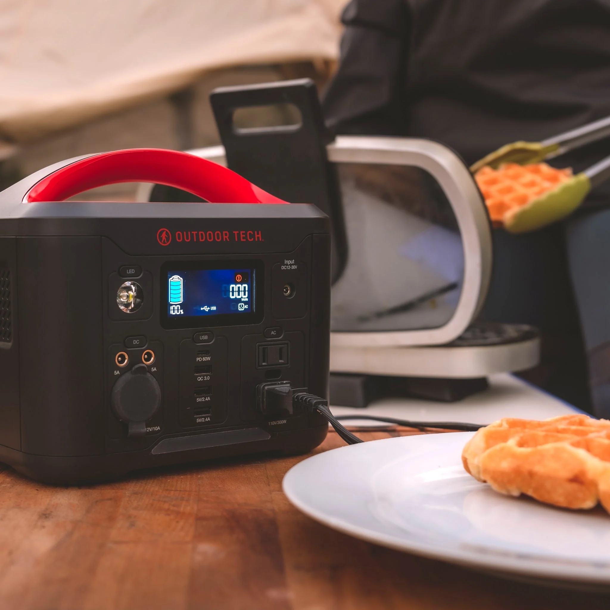 Grizzly Portable Power Station - Image 5