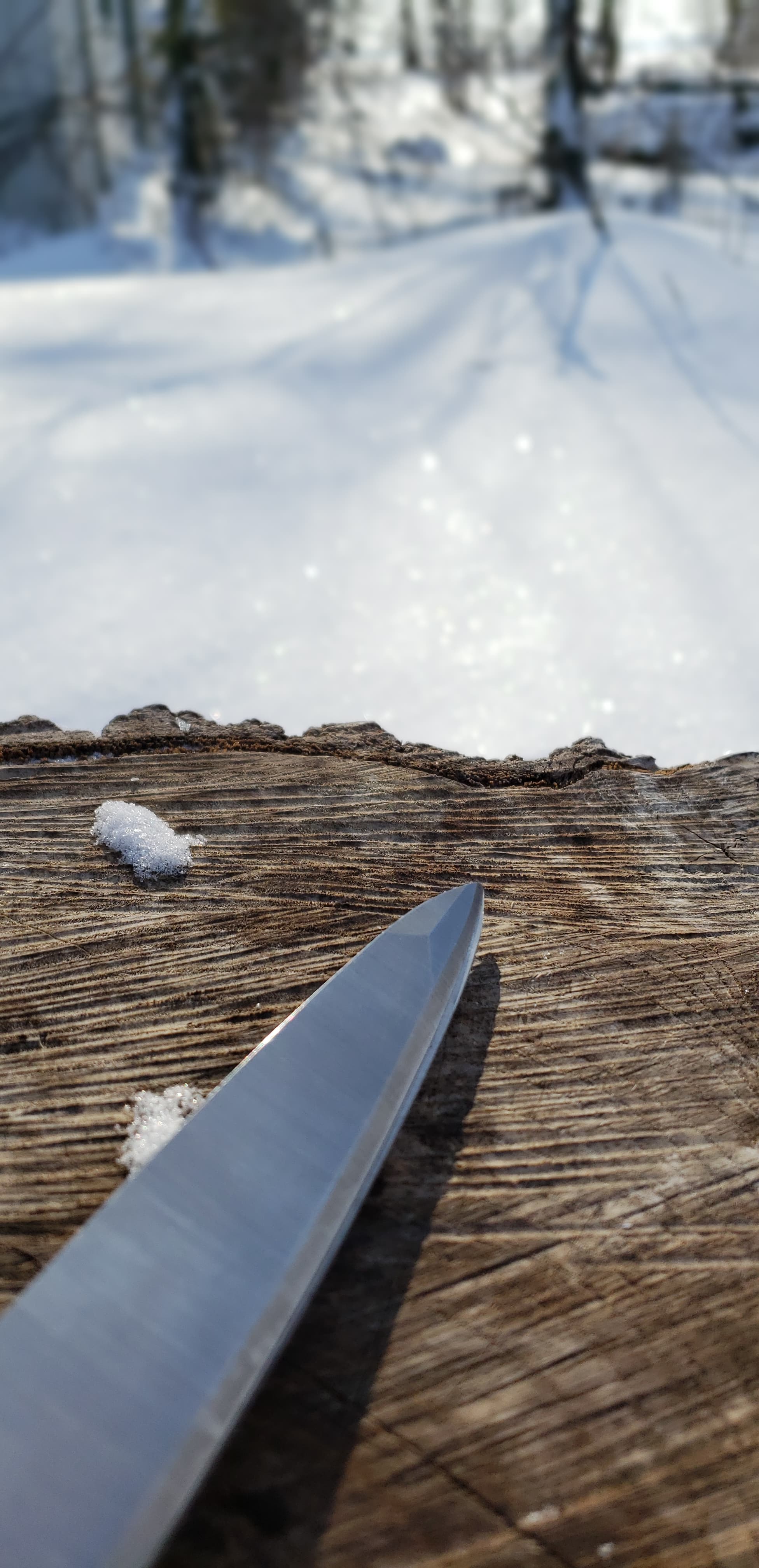 Humboldt Spear Point Utility Shears - Image 4
