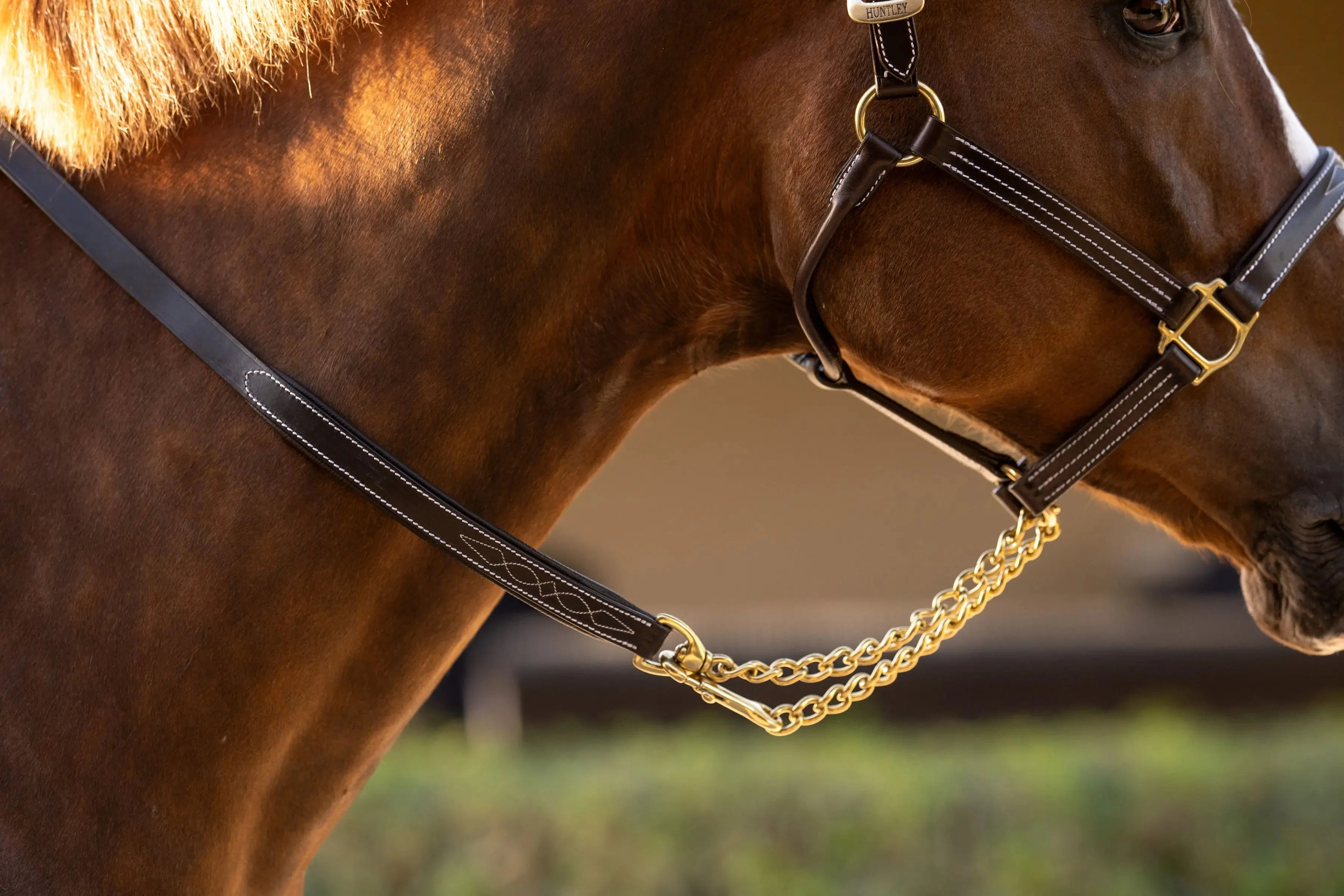 Huntley Equestrian Leather Lead with Brass Chain - Image 2