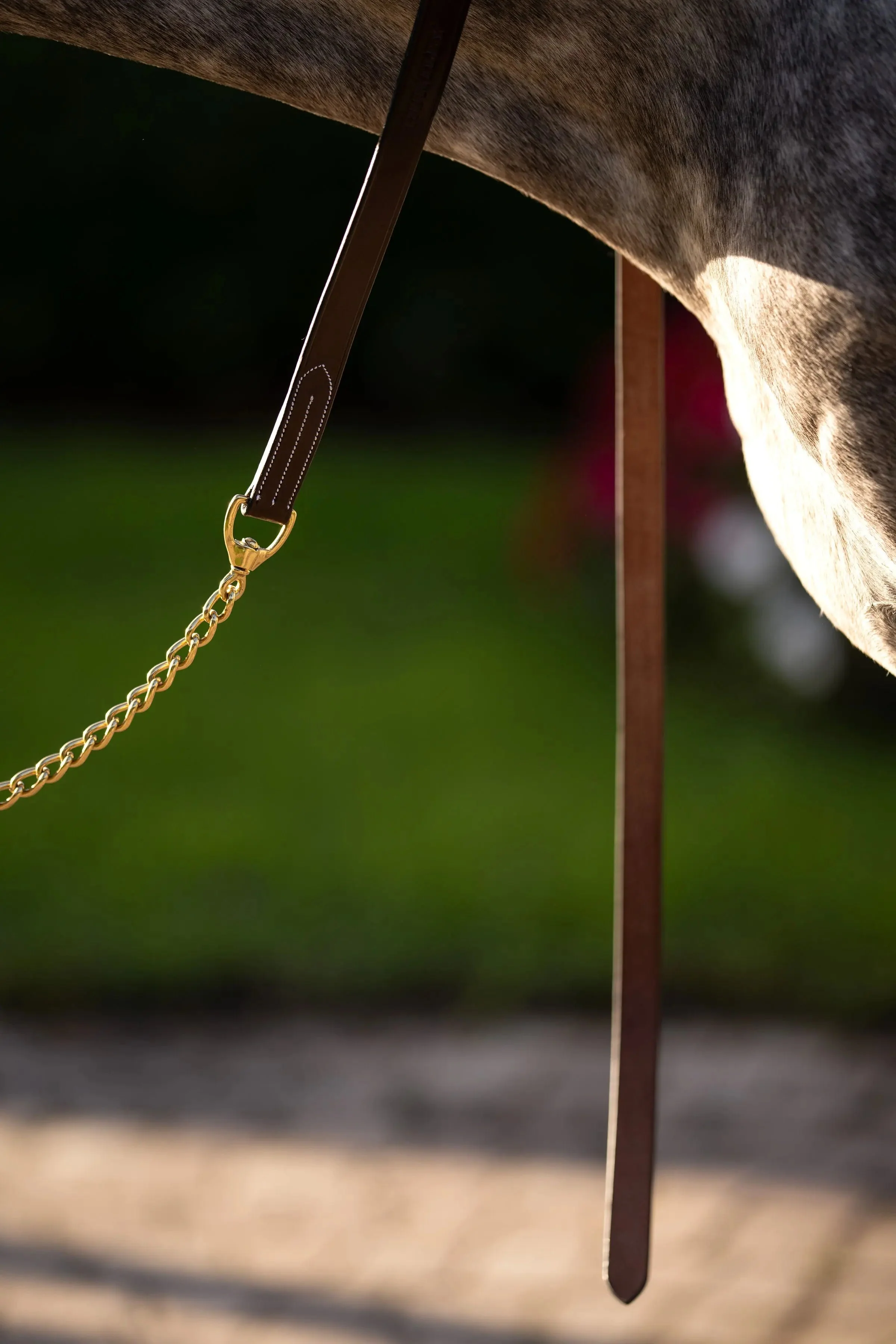 Huntley Equestrian Leather Lead with Brass Chain - Image 3
