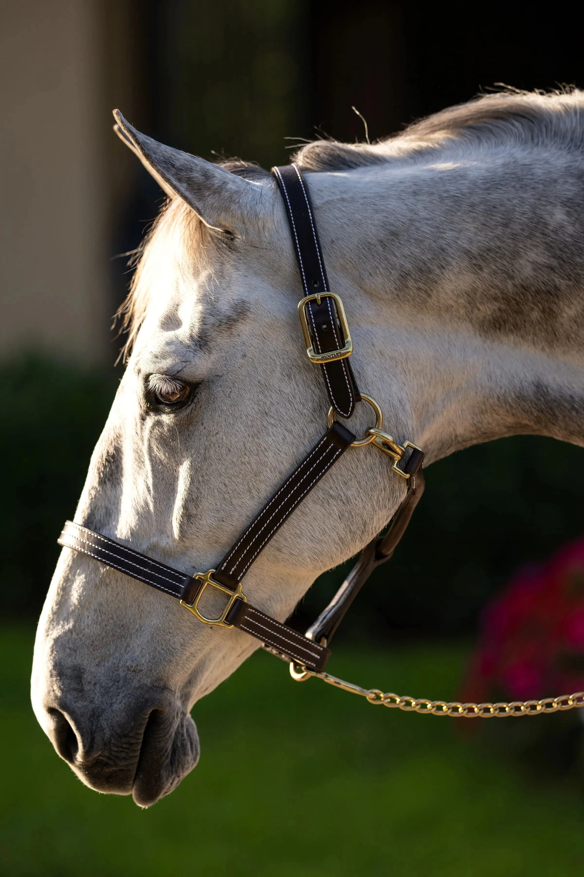 Huntley Equestrian Premium Leather Triple Stitched Halter with Snap - Image 3
