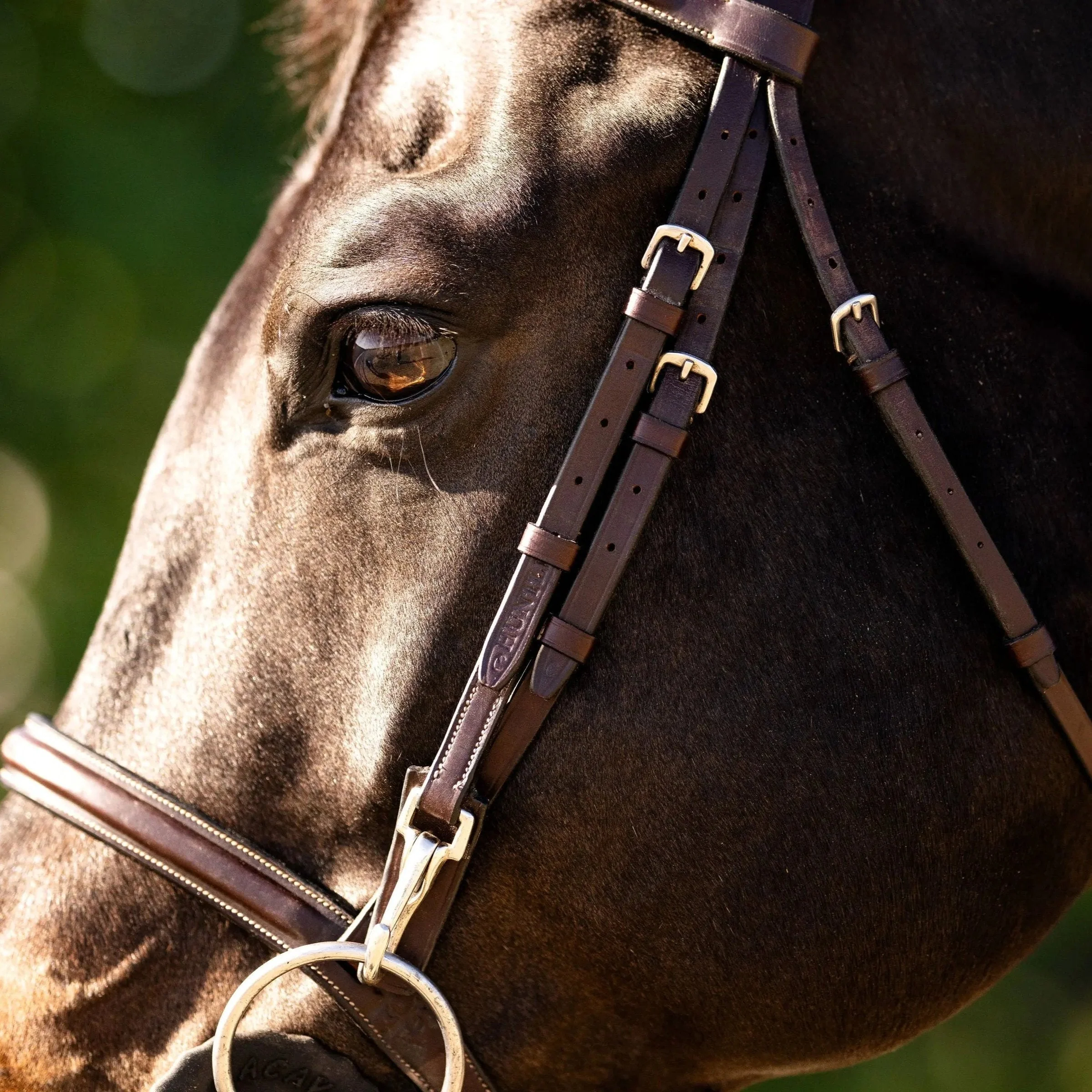 Huntley Equestrian Sedgwick Fancy Stitched Bridle with Cheek Clips and Reins - Image 10