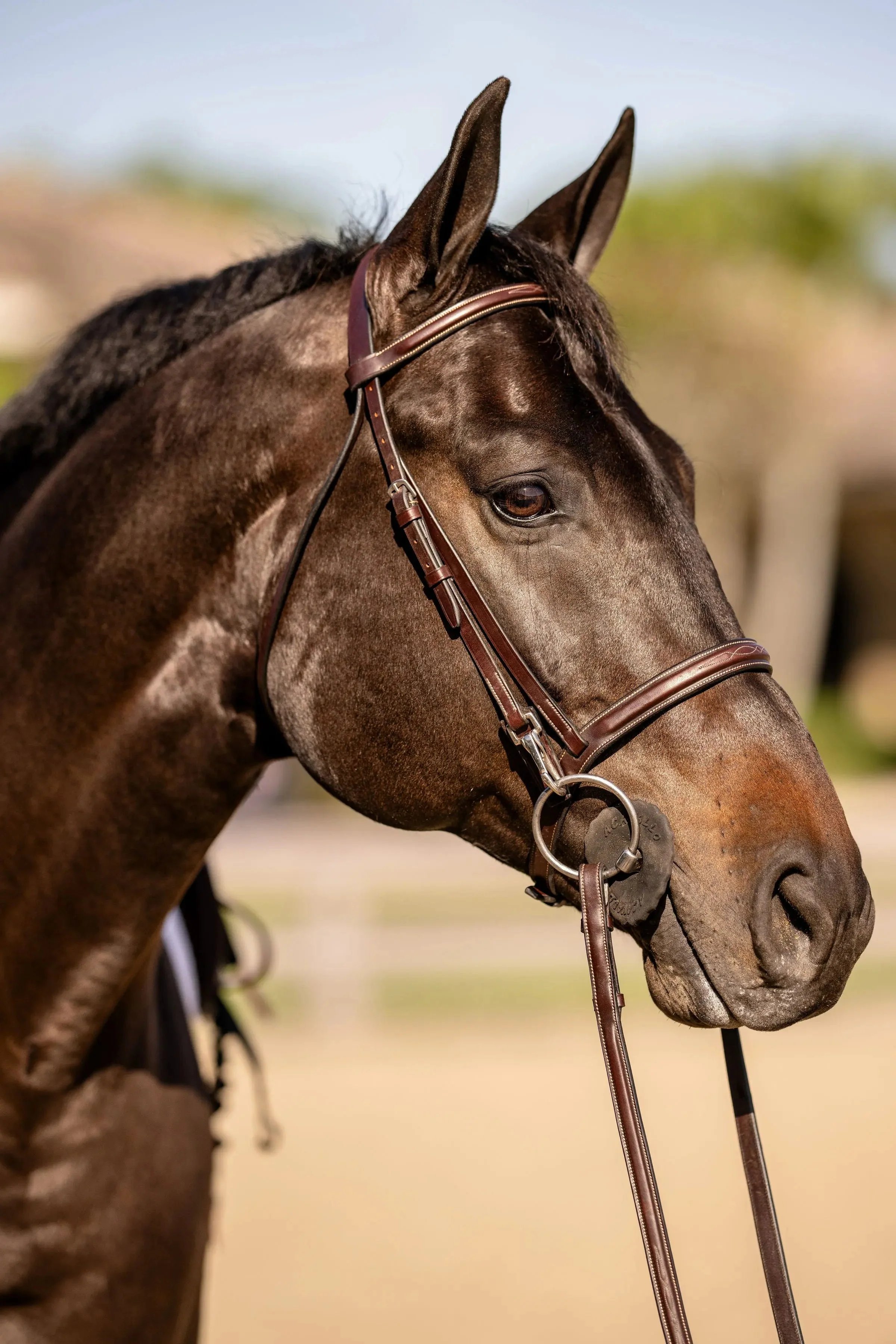 Huntley Equestrian Sedgwick Fancy Stitched Bridle with Cheek Clips and Reins - Image 3