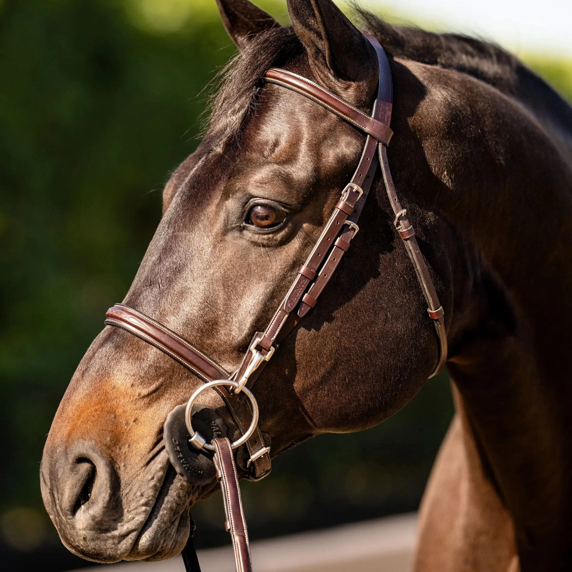 Huntley Equestrian Sedgwick Fancy Stitched Bridle with Cheek Clips and Reins - Image 4