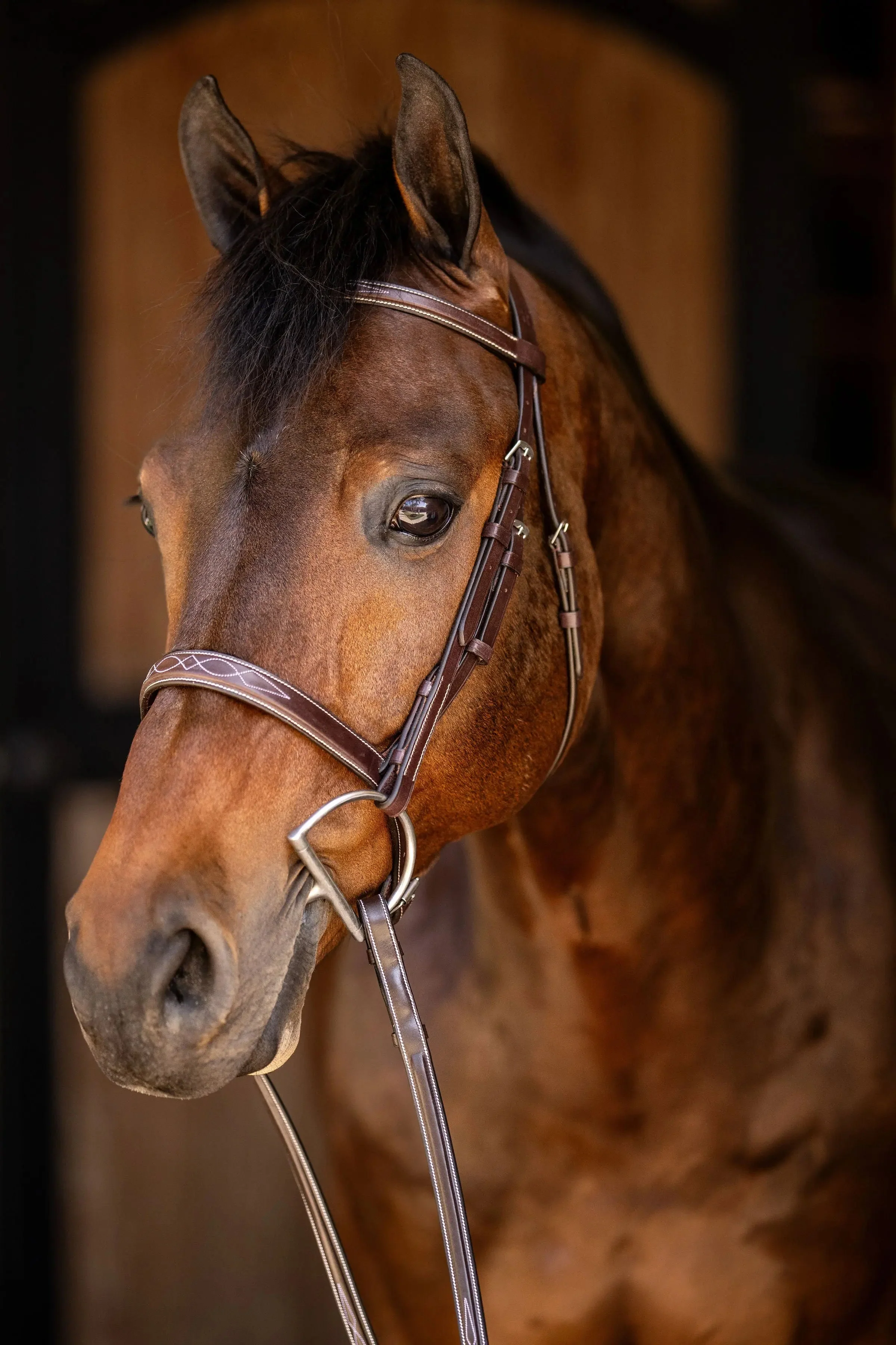 Huntley Equestrian Sedgwick Fancy Stitched Square Raised Hunter Horse Bridle with Reins - Image 5