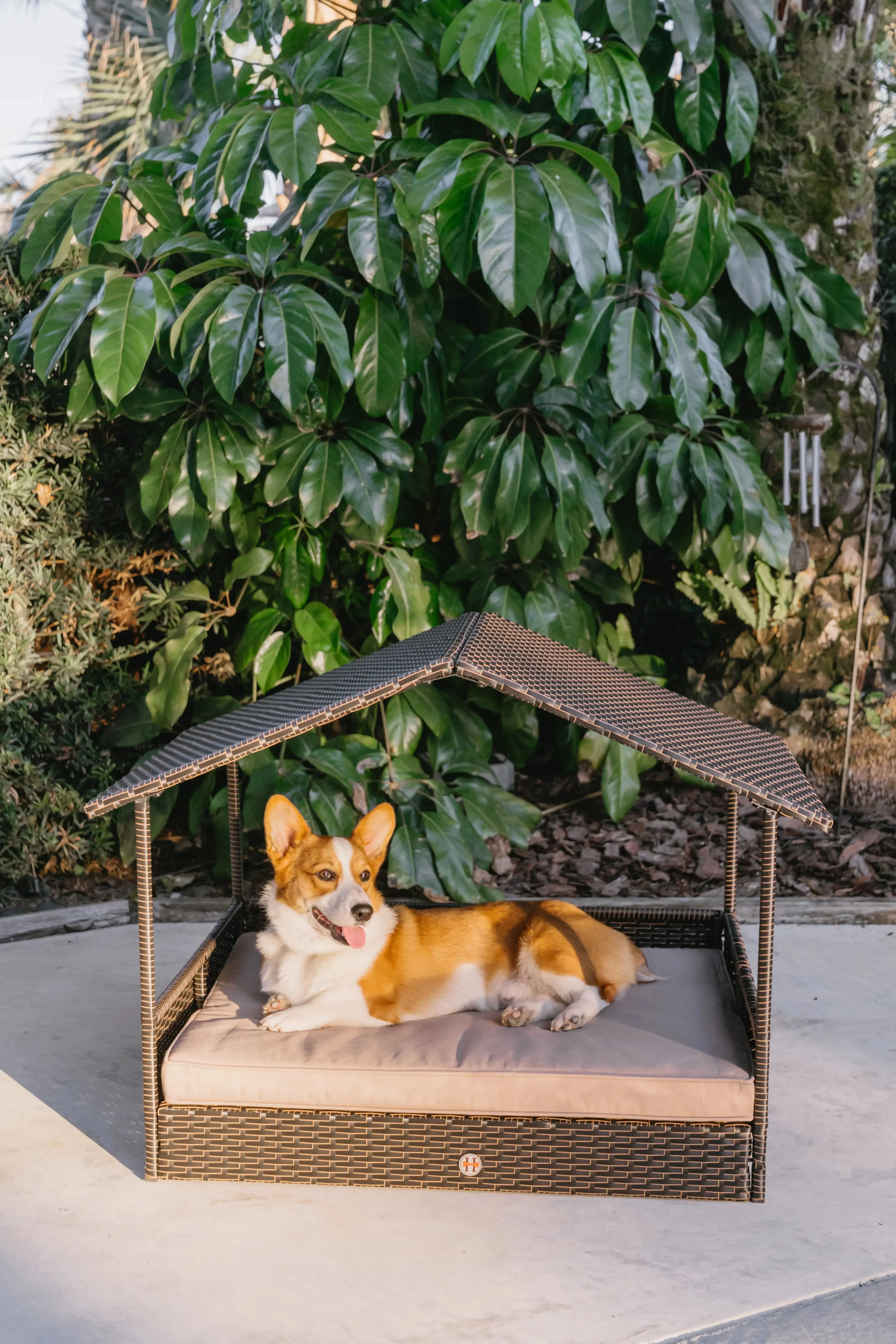 Huntley Pet Rattan Wicker Indoor Outdoor Cabana Raised Pet Bed - Image 2