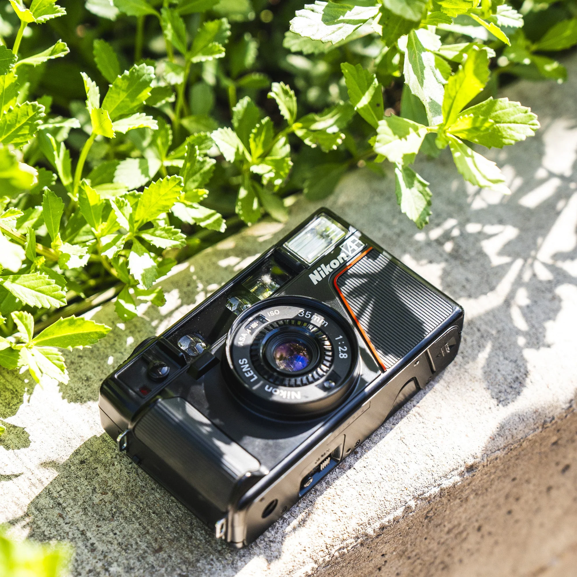 Nikon L35AF "Pikaichi" | 35mm Point and Shoot Film Camera - Image 7