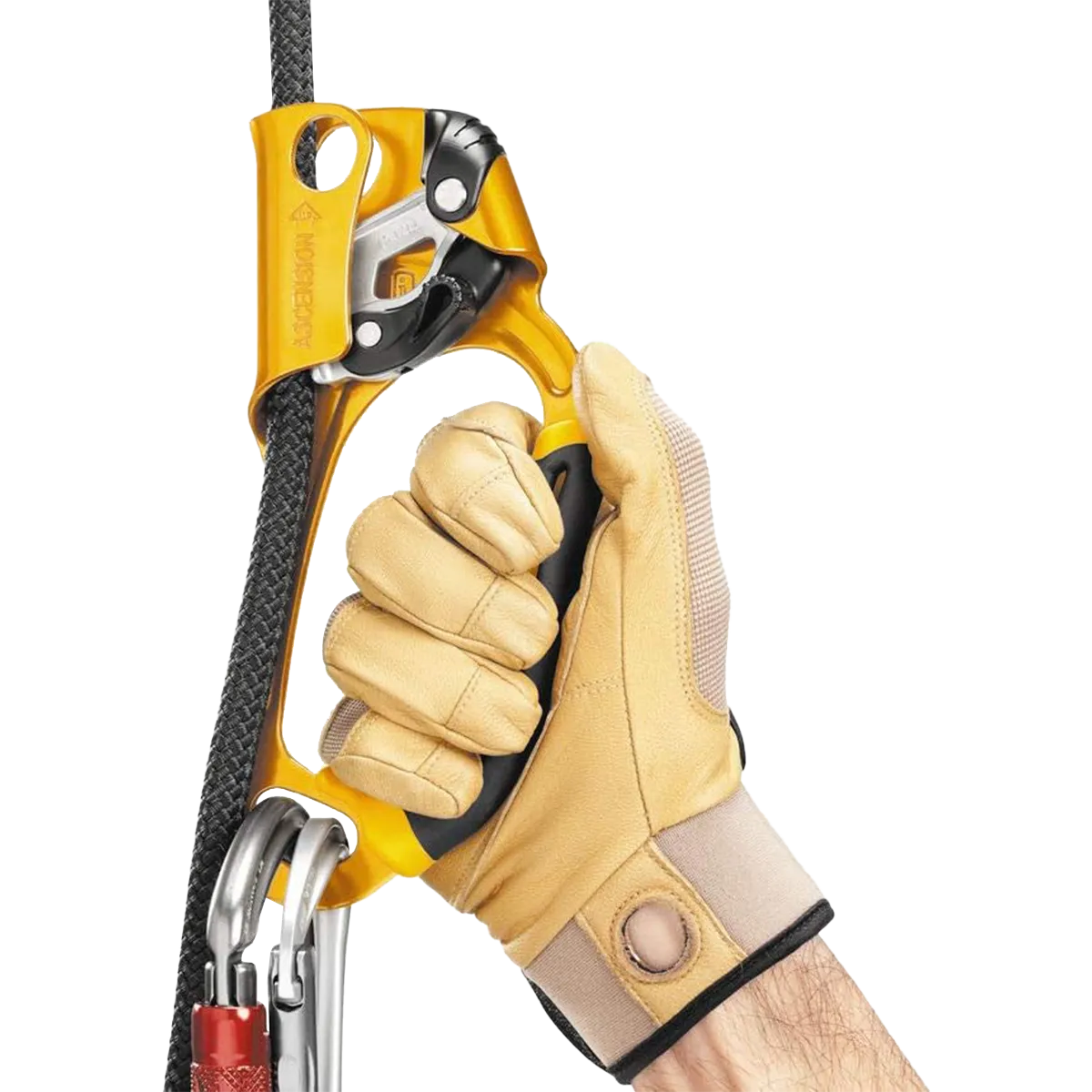 Petzl Right Handled Ascender 1124 lb Gold - Image 3