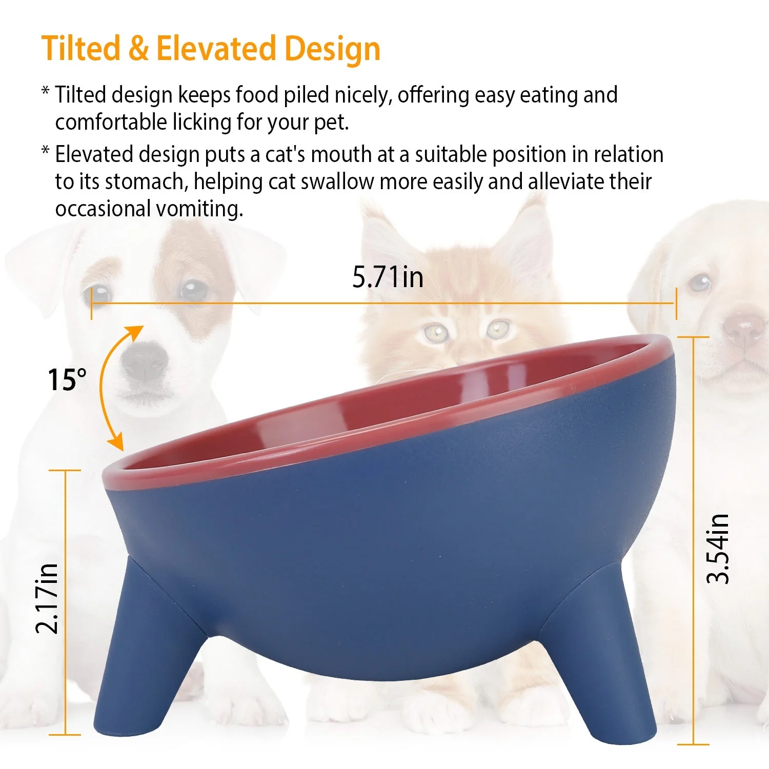 Raised Tilted Elevated Cat Food Bowl Pet Backflow Prevention Water Dish Feeding Bowl for Cats Small Dogs - Image 6