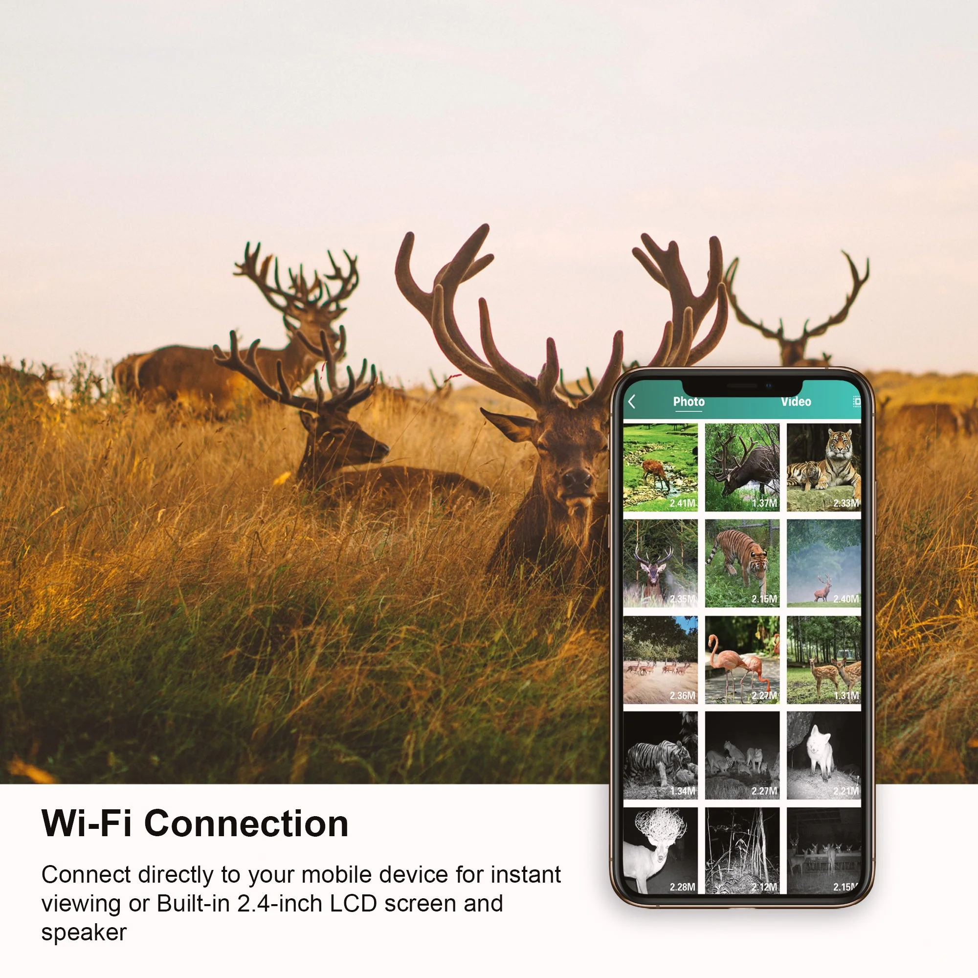Rexing Woodlens H2 4K Wi-Fi Trail Camera * 2PCS PACK - Image 3