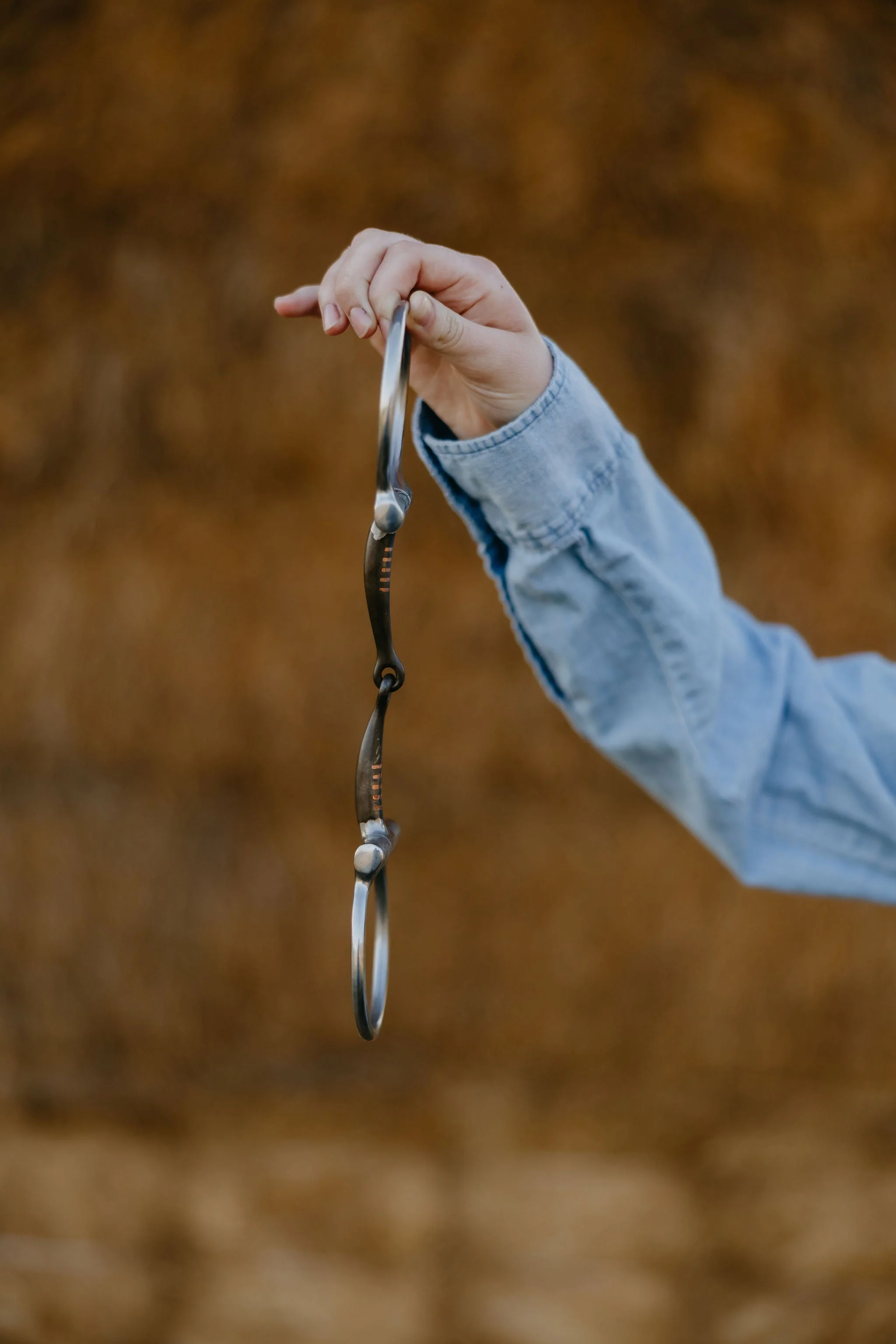 "Signature" Smooth Sweet Iron Dee Snaffle Bit w/Copper Inlay - Image 2