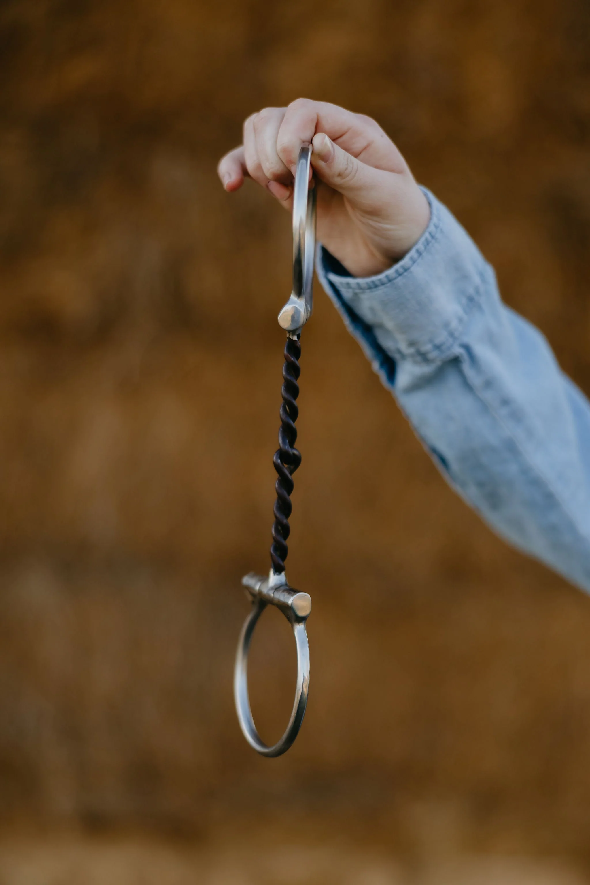 "Signature" Twisted Sweet Iron Dee Snaffle Bit w/Copper Inlay - Image 2