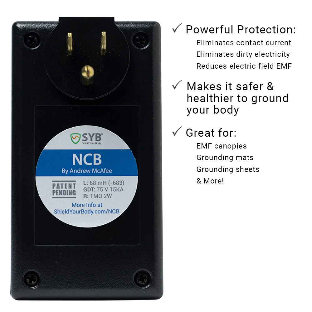 The NCB Plug Dirty Electricity Filter for Grounding from SYB - Image 2