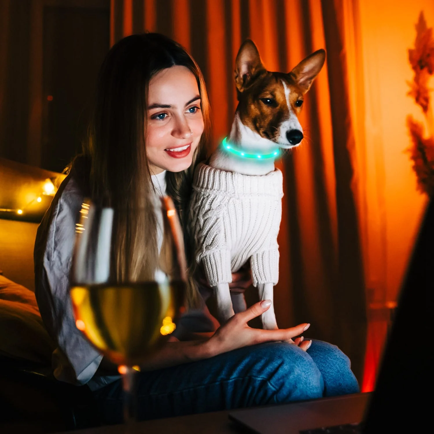 USB Rechargeable LED Dog Collar Multi-Color Lighting Dog Safety Collar Cuttable Length Glow Dog Collar For Small Medium Large Dog Night Walking - Image 2