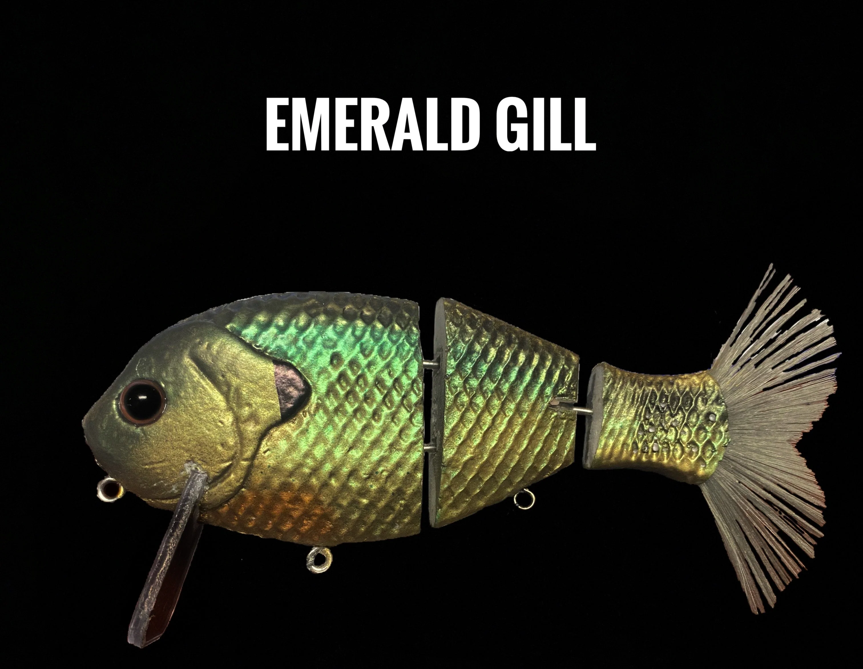Wake Gill - Image 3