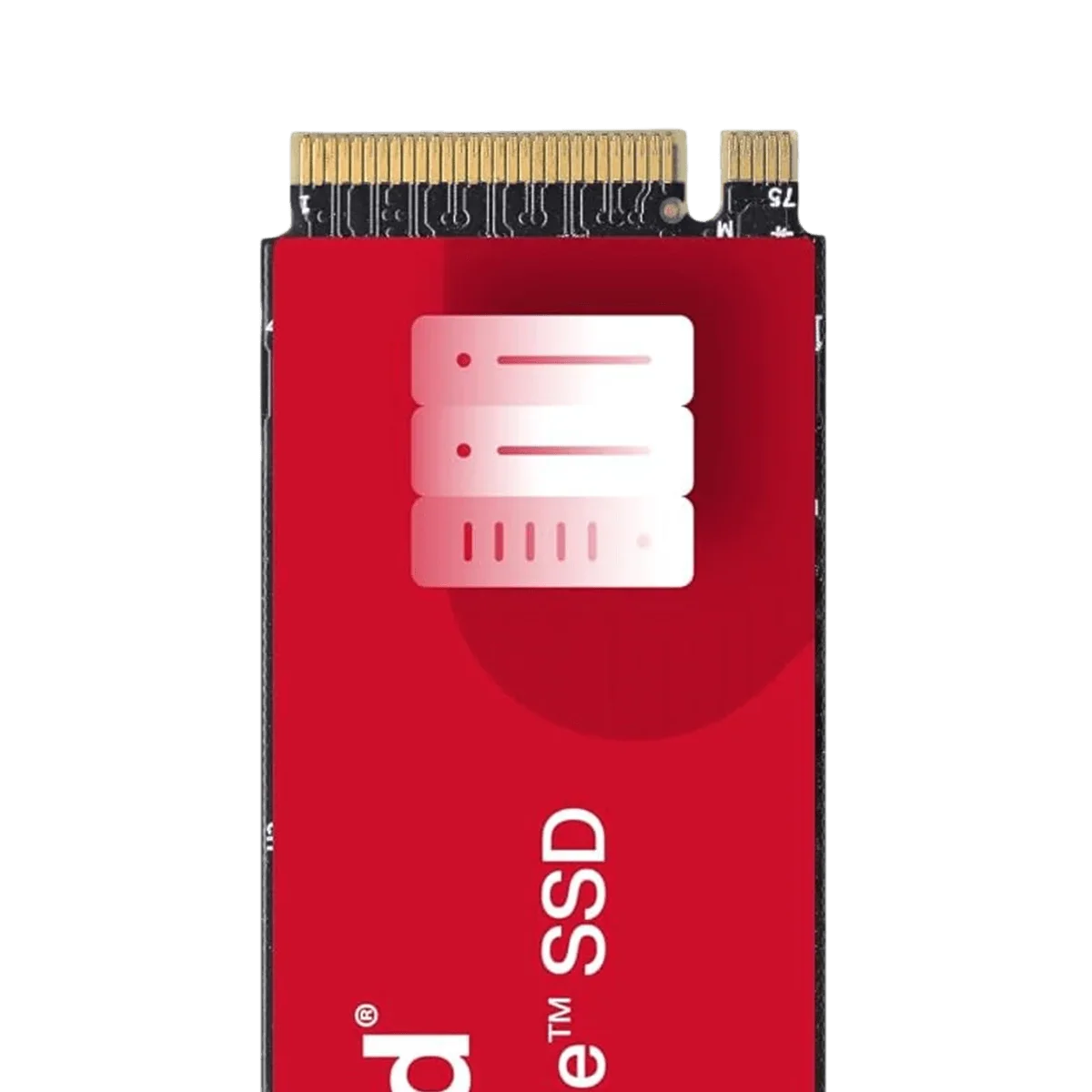 WD Red SN700 500GB NVMe SSD for NAS – Gen3 M.2 - Image 4