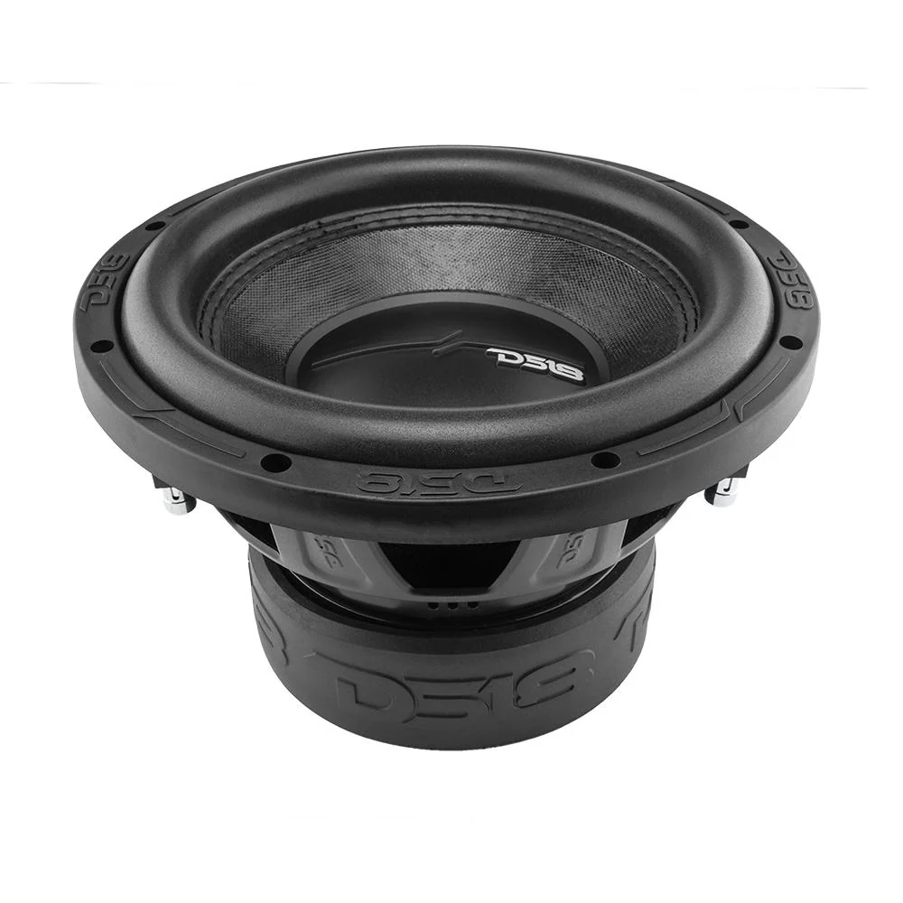 ZR 10" Subwoofer 700 Watts Rms DVC  2-Ohm - Image 4