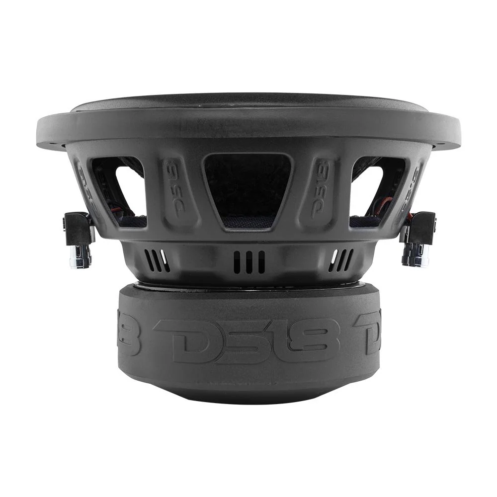 ZR 10" Subwoofer 700 Watts Rms DVC  2-Ohm - Image 5
