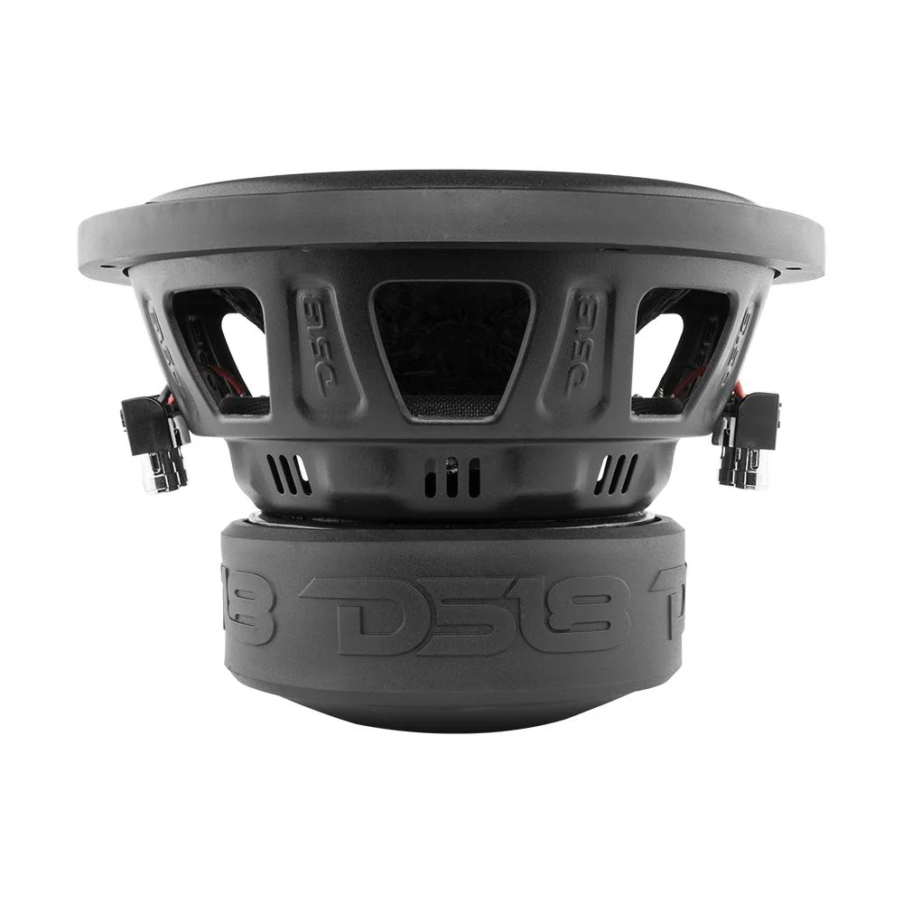 ZR 10" Subwoofer 700 Watts Rms DVC  4-Ohm - Image 5